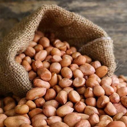 High-quality groundnuts carefully selected for freshness, uniform size, and excellent quality, suitable for oil extraction, food processing, and wholesale trading. Bulk quantities available as per buyer requirements.