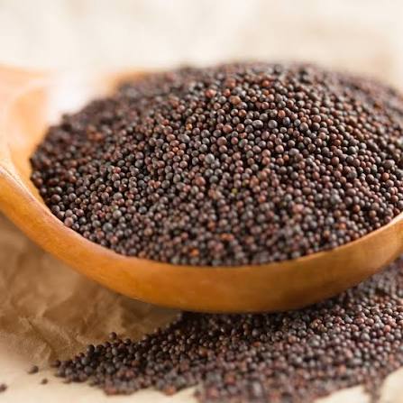 From Premium Harvests to Reliable Bulk Supply.