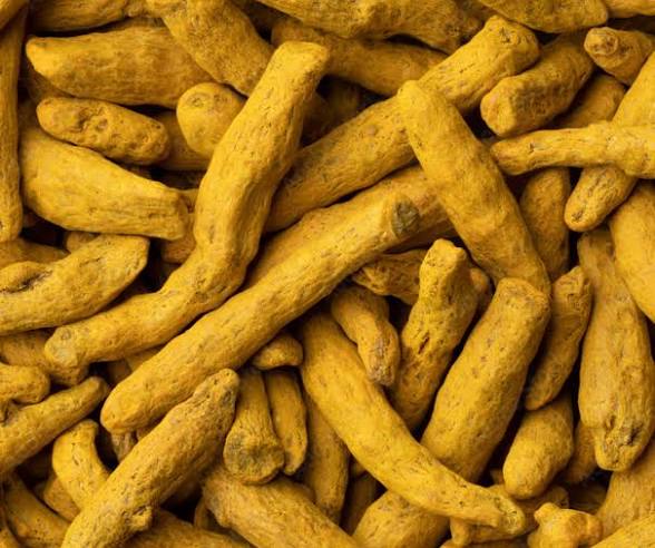 Golden Excellence, Sourced for Your Business.