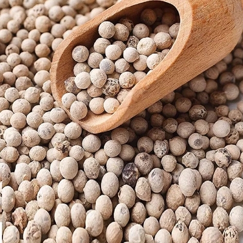 Where Subtle Aroma Meets Superior Quality.